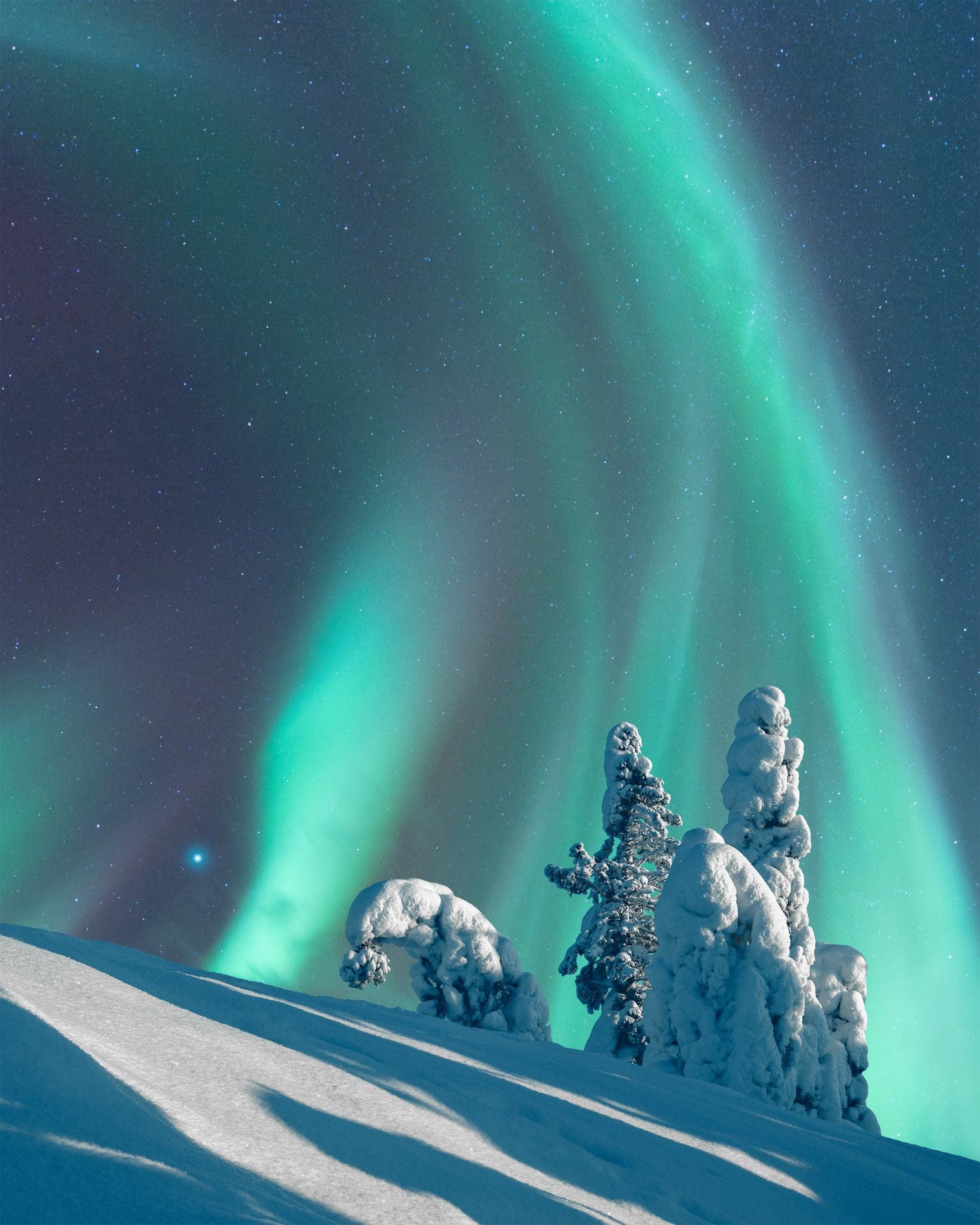 Aurora Boreal, Luces del Norte, sobre un paisaje invernal iluminado por la luna, árboles de abeto cubiertos de escarcha y nieve, Parque Nacional Koli, Finlandia Oriental.