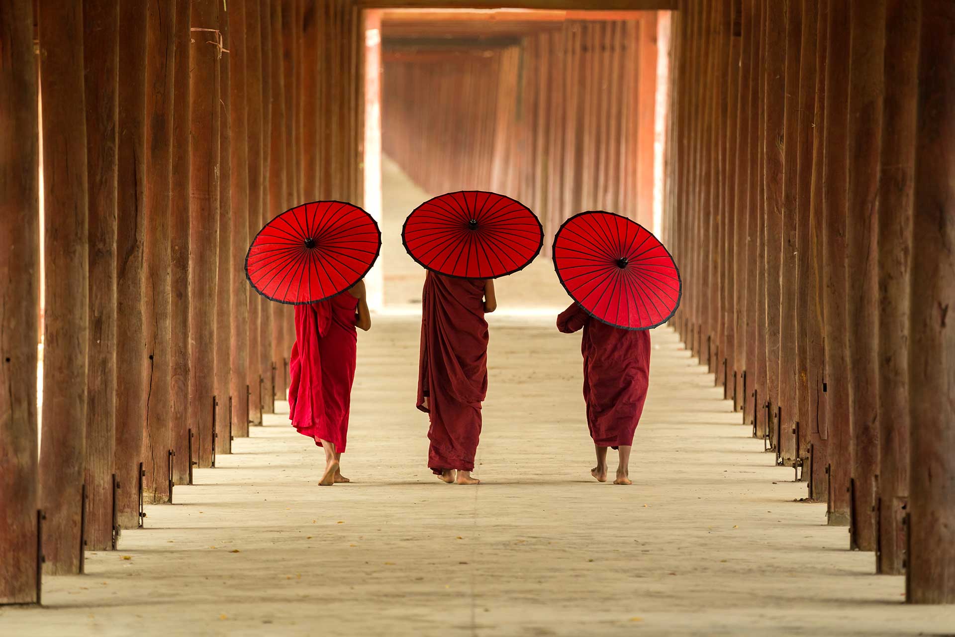 Myanmar monjes