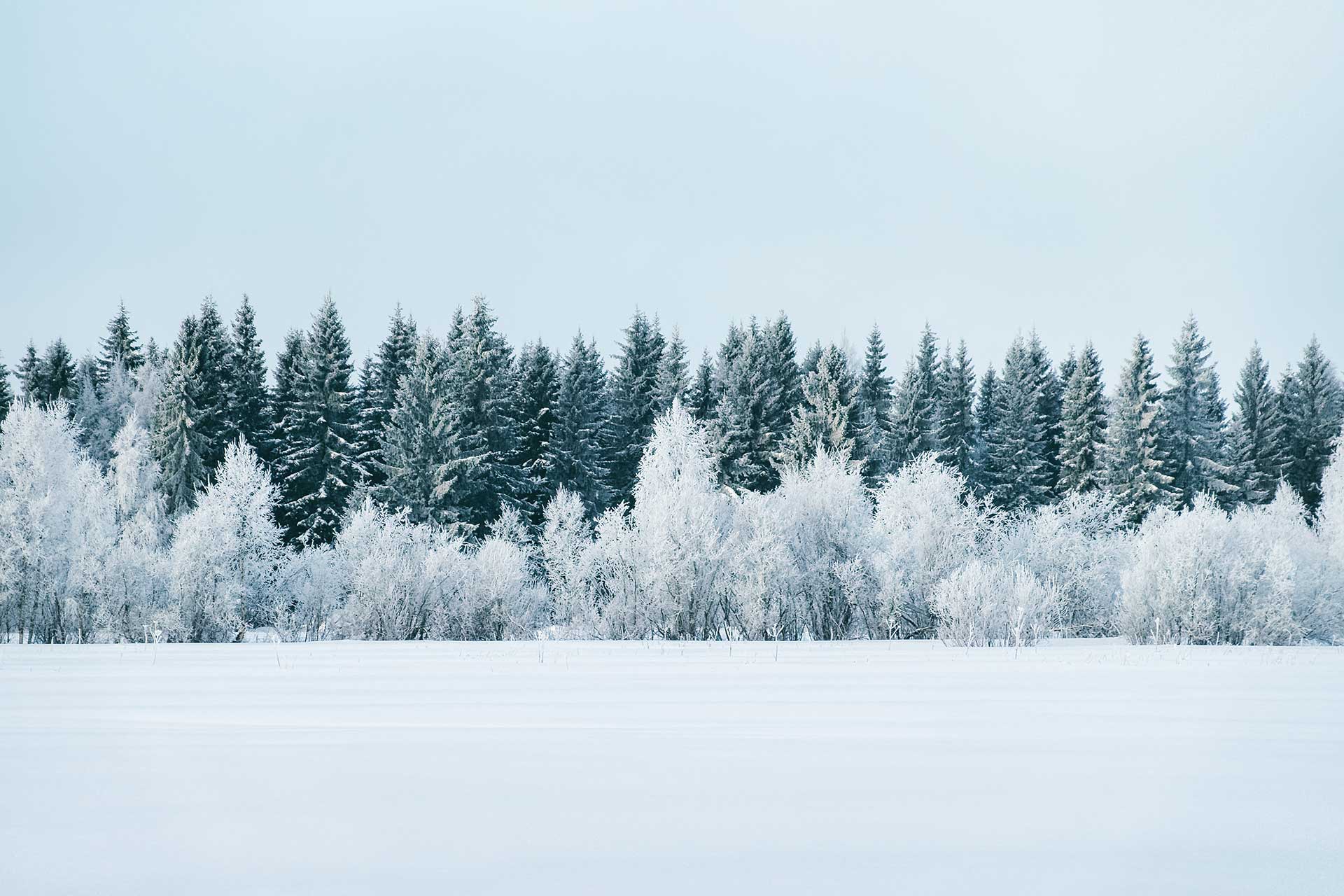 Paisaje nevado Finlandia