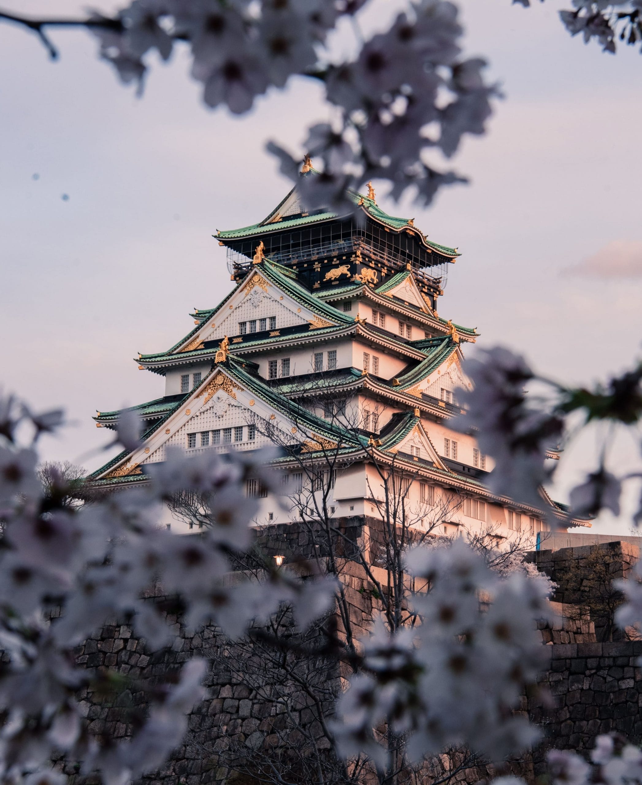 Templo cerezo Japon