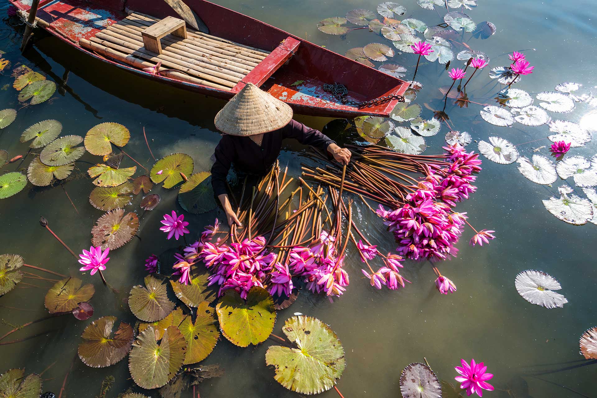 Vietnam flores pescadora