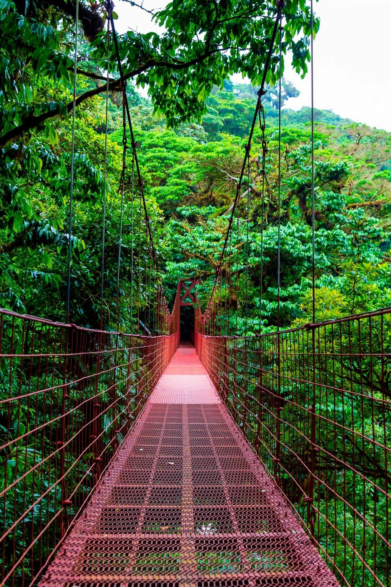 puente colgante rojo en Costa Rica