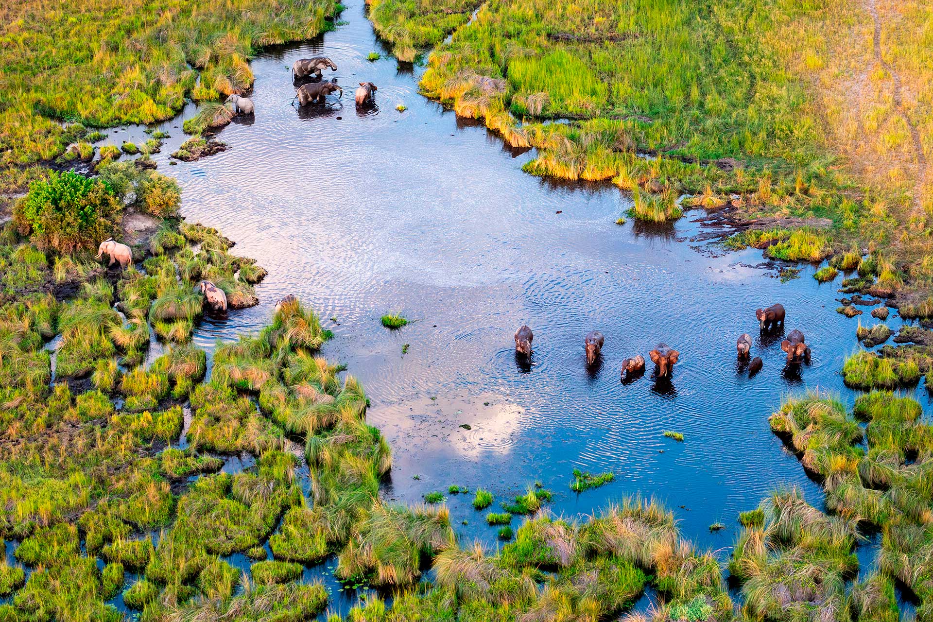 Okavango en helicoptero