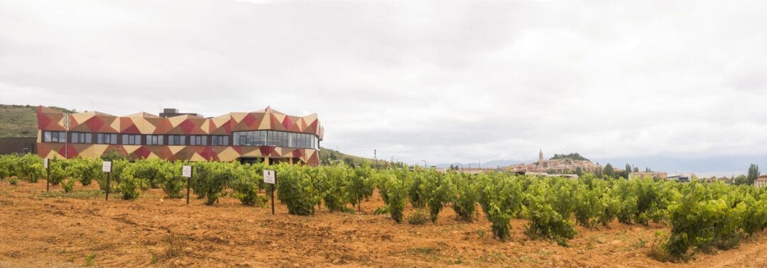 Panoramic view of the FYA wineries