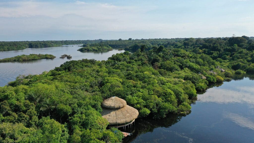 Vista Panoramica de Amazonia