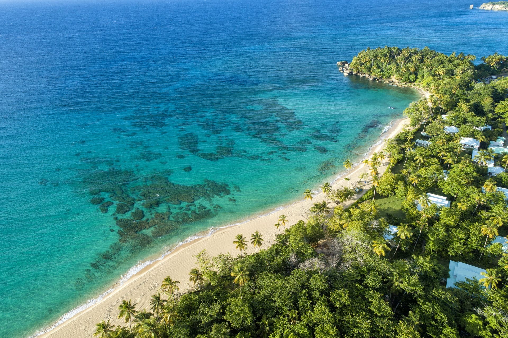 Aerial view of Playa Grande Dominican Republic