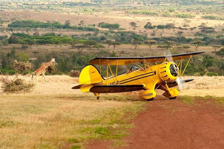 Biplane flight in the savanna