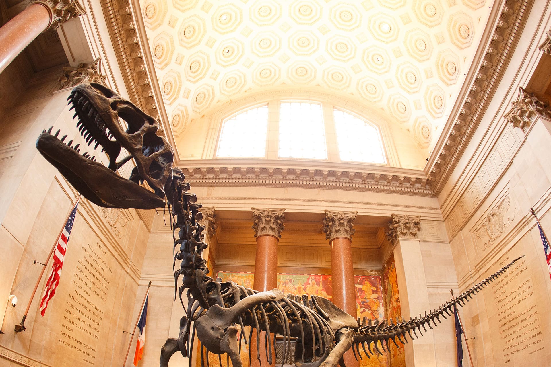 Esqueleto de dinosaurio en el Museo de Ciencias Naturales de Nueva York
