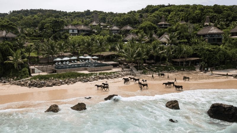 Horses on the beach at Nihi Sumba Hotel