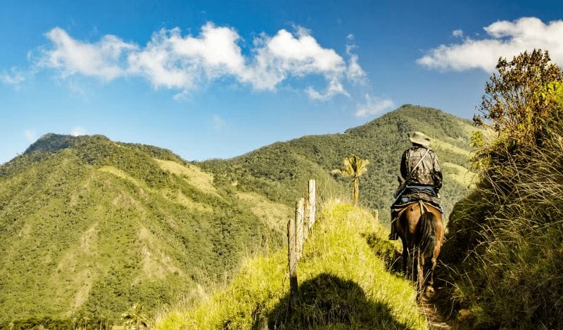 Vaquero en Colombia