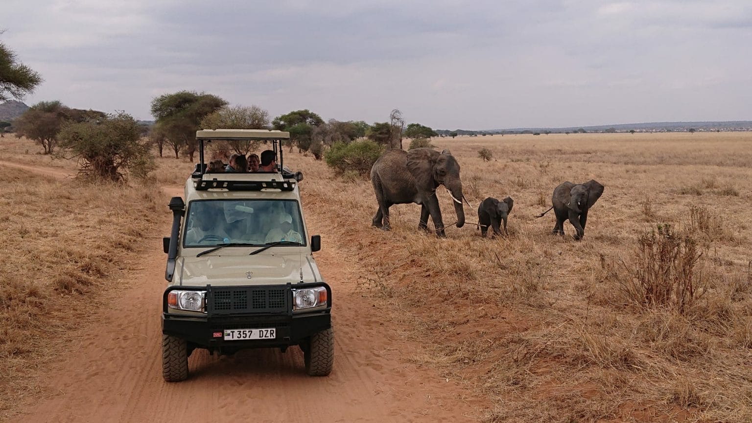Coche 4x4 con personas y tres elefantes de fondo en Tanzania
