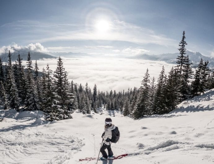 Esquiador en la montaña con sol y pinos en el horizonte
