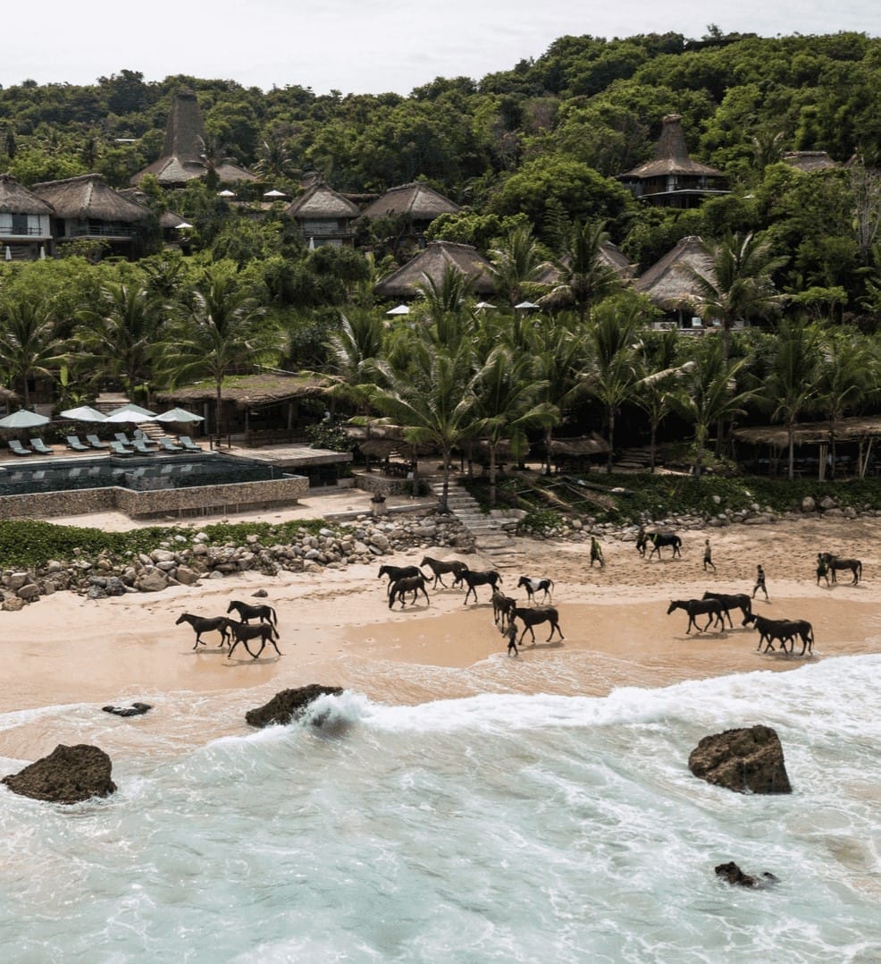 caballos en la playa en el hotel nihi sumba