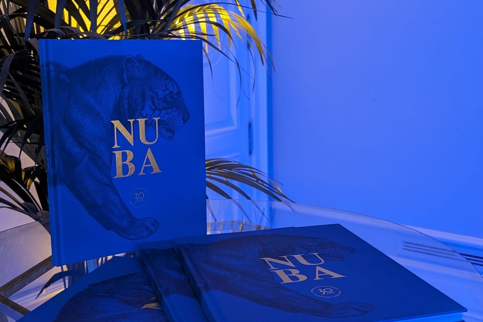 Catálogo NUBA 2024