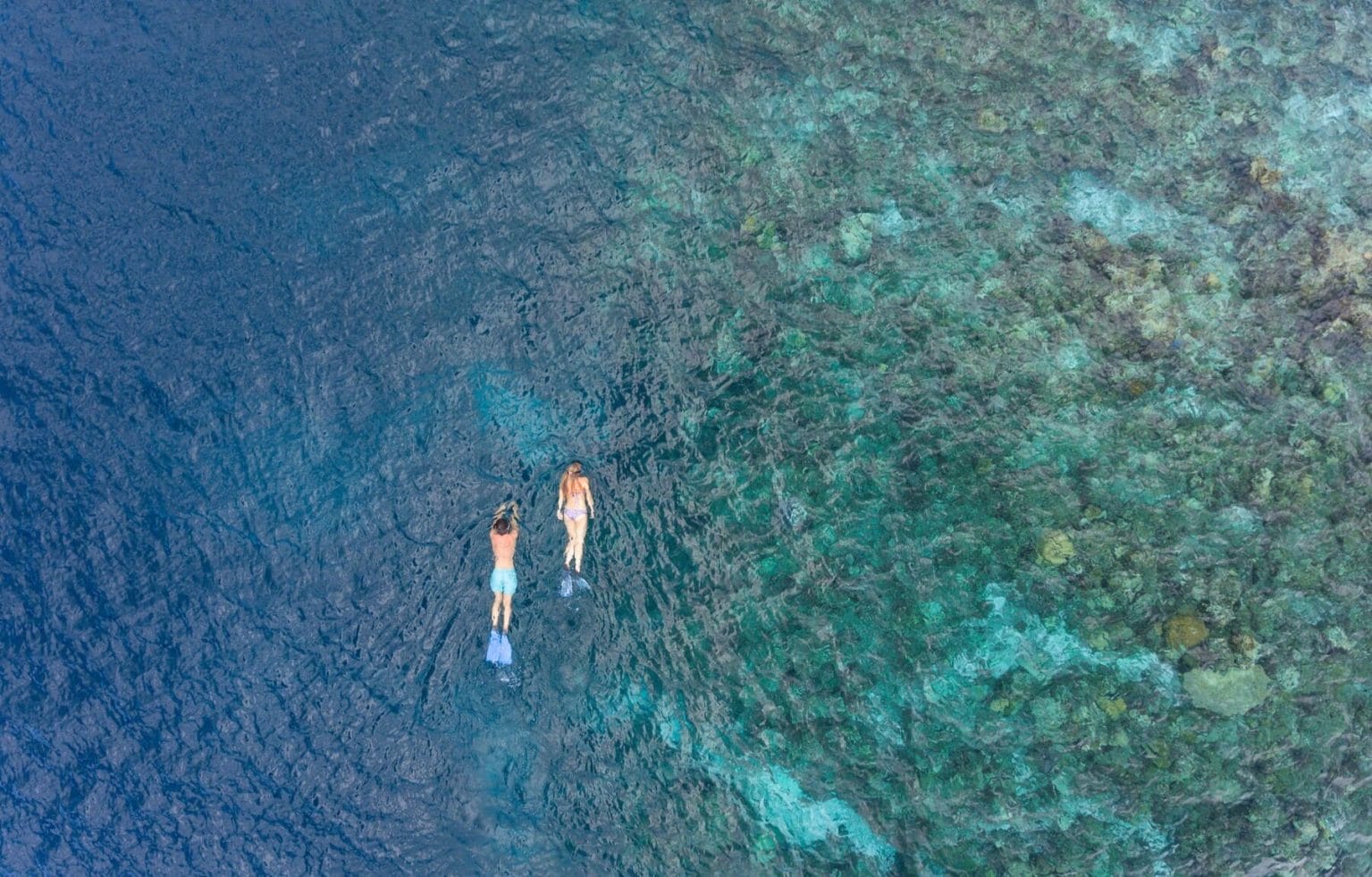 Baros Maldives snorkeling