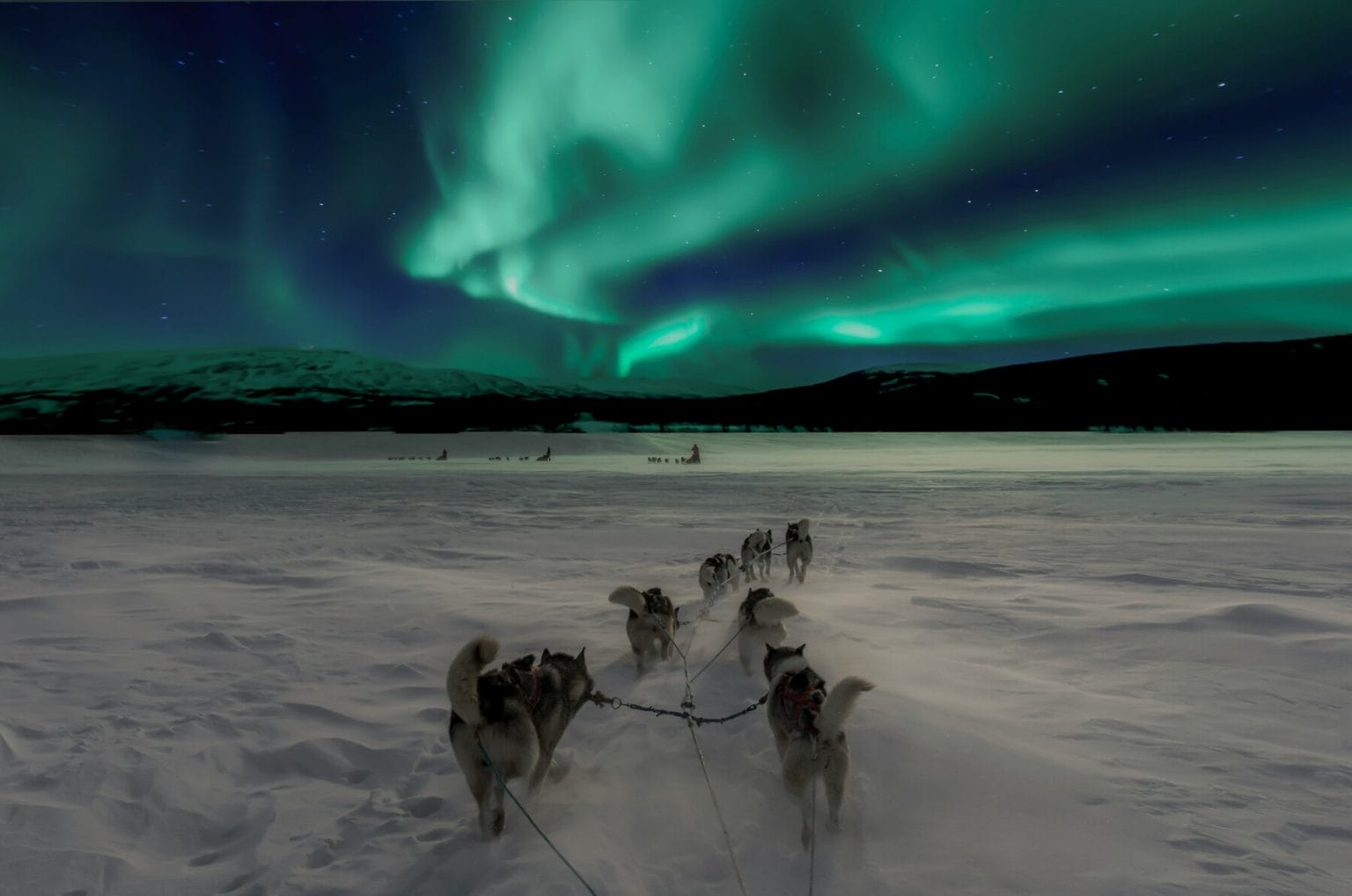 Aurora boreal huskies