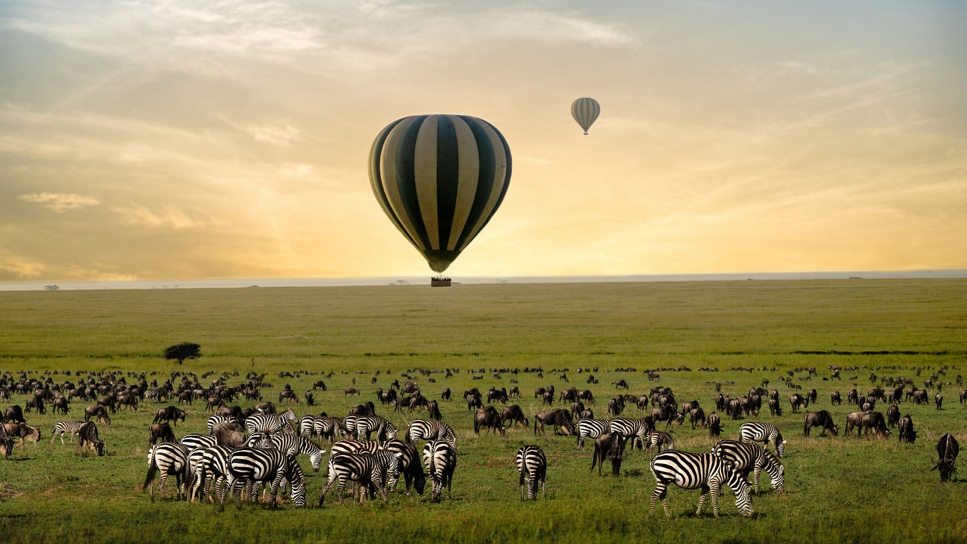 Safari en globo Tanzania