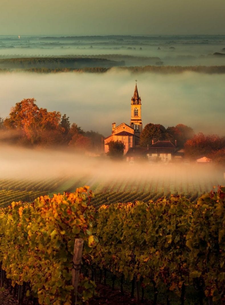 Paisaje al atardecer y smog en los viñedos de Burdeos, Francia, Europa