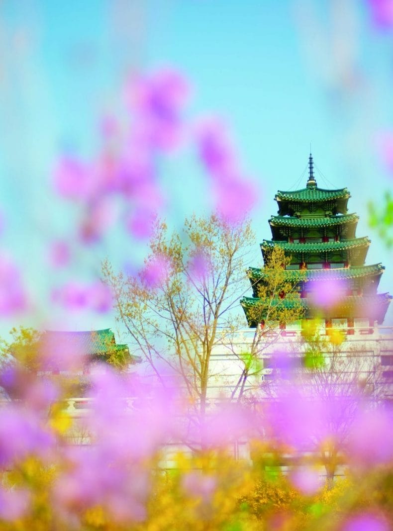 Corea del Sur Templo