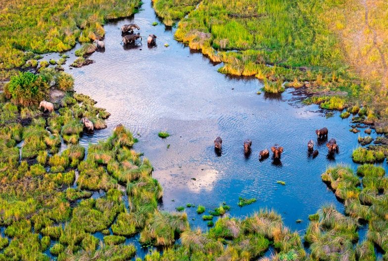 Okavango en helicoptero