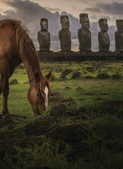 Vistas caballos Moáis Chile